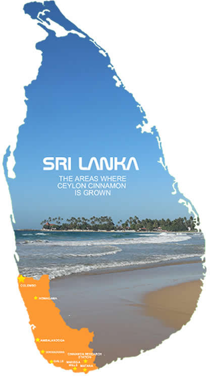 Ceylon Cinnamon Map Sri Lnka